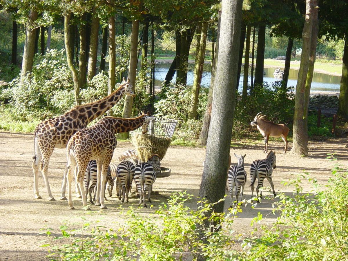 Hotel Europarcs De Hooge Veluwe Arnhem Exterior foto